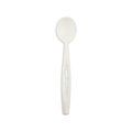 Stalk Market CPLA Compostable Heavy Weight 6.5 in. Spoon, 1000PK CPLA-003
